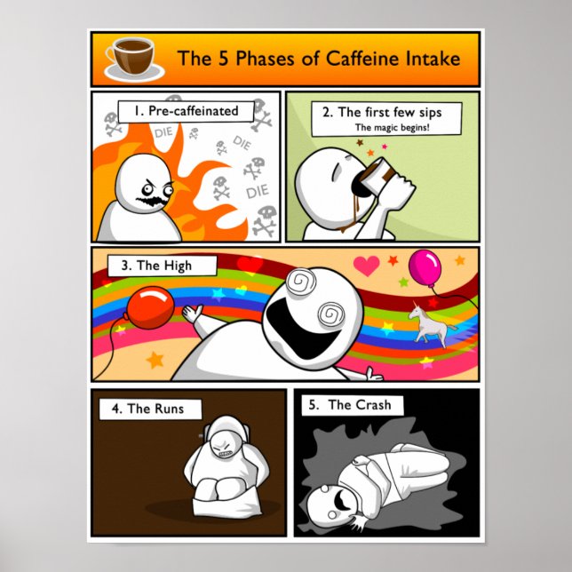 Póster 5 Fases de la ingesta de cafeína (Frente)