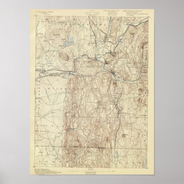 Póster 5 Hojas de palmera (Frente)