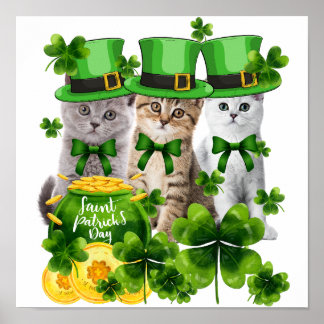 Póster 5 Kitty Kitten amante regalo - Tres gatos Patrick