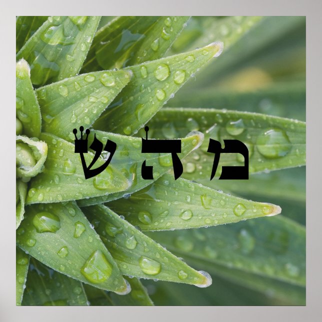 Póster 5 Sanación - 72 Nombres de Dios (Frente)