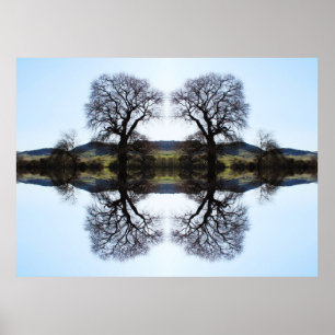 Póster 62914 árboles del fractal