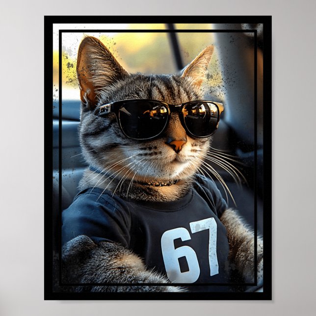 Póster 67 And Still Cool Funny Birthday Meme Cat  (Frente)