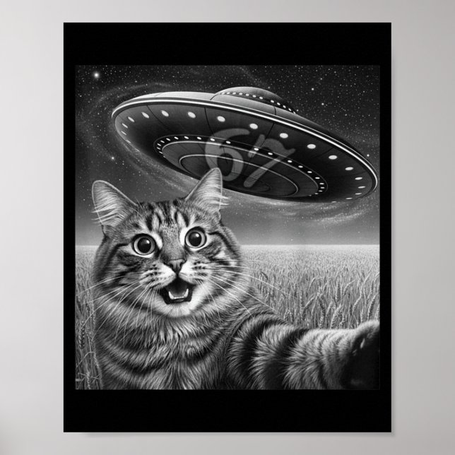 Póster 67 Cat Selfie With Alien Ufos Funny Cat Six Seven  (Frente)