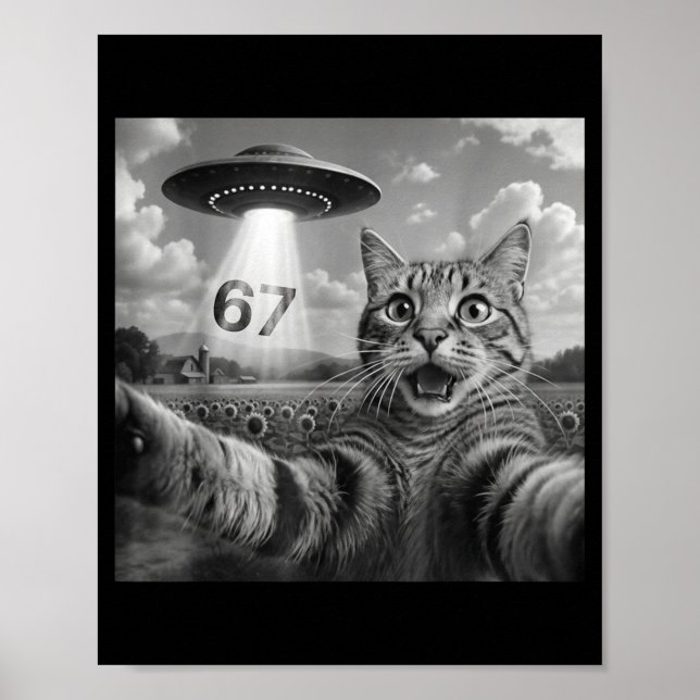 Póster 67 Cat Selfie With Alien Ufos Funny Cat Six Seven  (Frente)