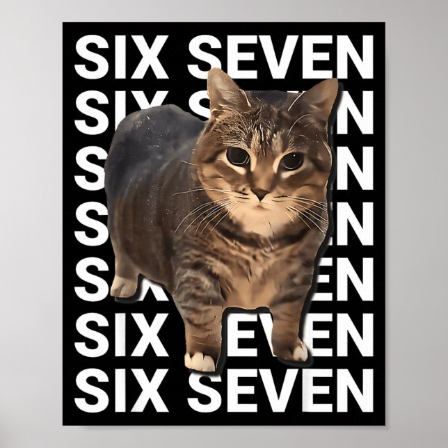 Póster 67 Gato Divertido Seis Siete Meme Gen Z Alpha Humo (Frente)