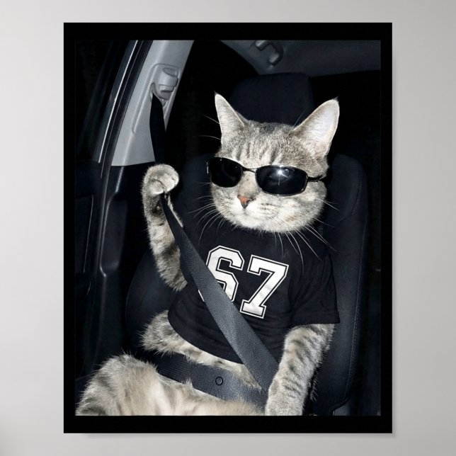 Póster 67 Gato que Lleva Gafas de Sol Gen Alfa Divertido  (Frente)