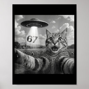 Póster 67 Gato Selfie Con Alien Ufos Divertido Gato Seis