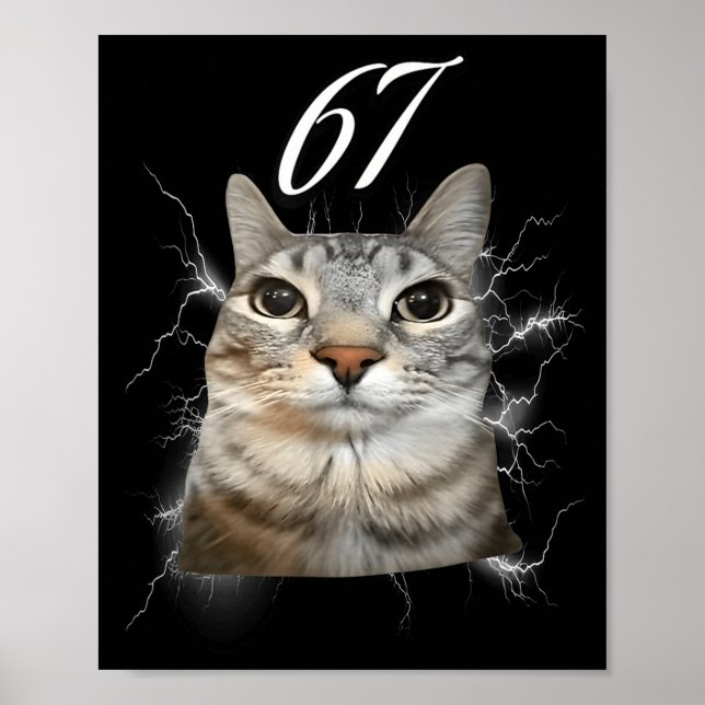 Póster 67 Meme Cat Howling At Moon Brainrot Funny 6 7  (Frente)