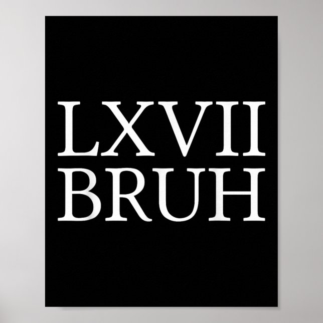 Póster 67 Meme de historia Seis Siete Bruh Divertido Ense (Frente)