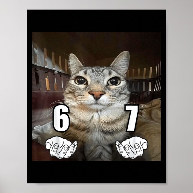 Póster 67 Meme Gato Divertido Seis Siete Meme 6 7  (Frente)