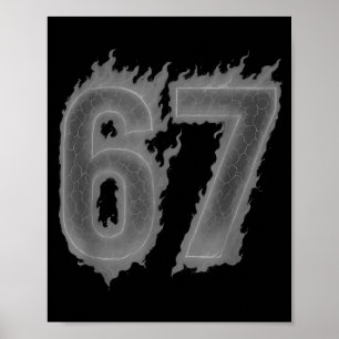 Póster 67 Seis Siete Llamas Oscuras Coloridas Divertidas 