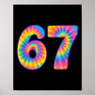Póster 67 Tie Dye Retro Seis Siete Meme