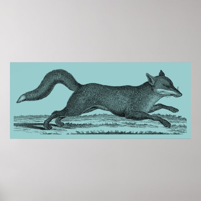 Póster 6.ª zorra (Frente)