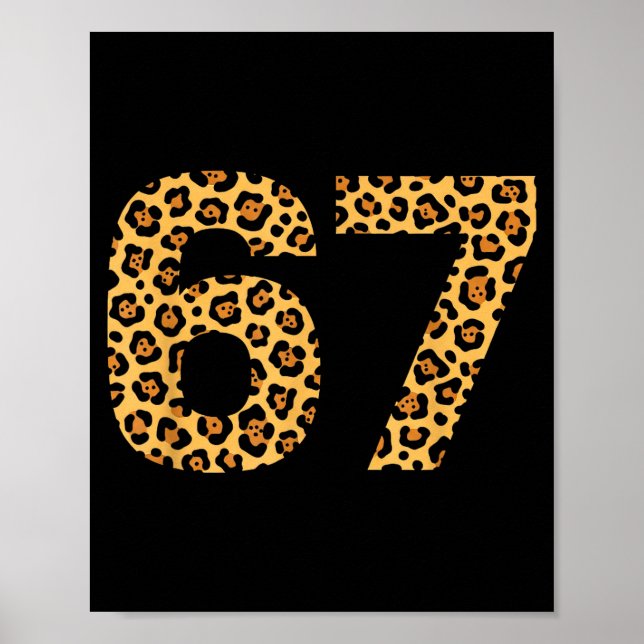 Póster 6-7 Meme Leopardo Guepardo Cool Seis-siete Diverti (Frente)