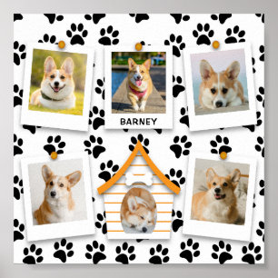 Póster 6 Collage de fotos Nombre Perro Casa Pintura Poste