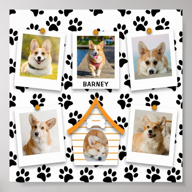 Póster 6 Collage de fotos Nombre Perro Casa Pintura Poste (Frente)