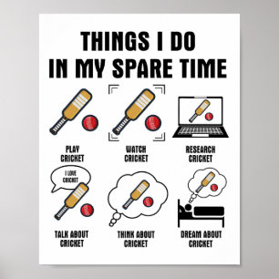 Póster 6 cosas que hago en mi tiempo libre: cricket