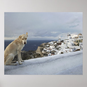 Póster 6 de noviembre