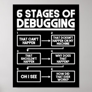 Póster 6 Etapas De La Depuración De La Codificación Del P