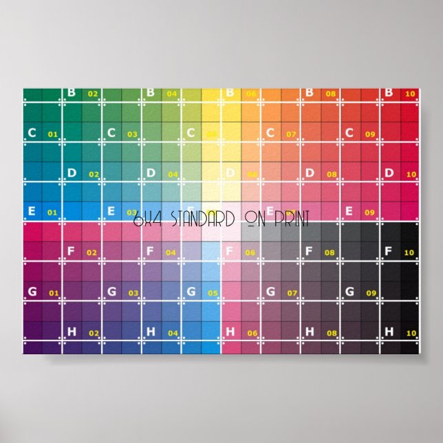 Póster 6 x 4 (Frente)