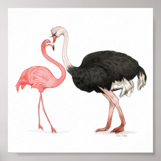 Póster 6 x 6 Amor Aves Imprimir