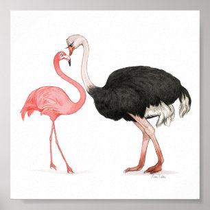Póster 6 x 6 Aves amorosas Imprimir