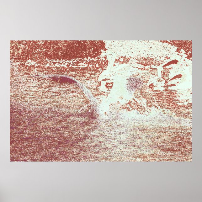 Póster 71 ter (Frente)