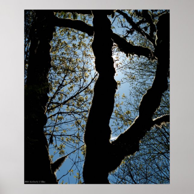 PÓSTER 7.ª (Frente)