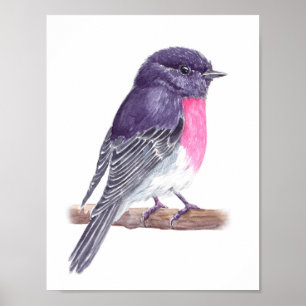 Póster 7.º burra