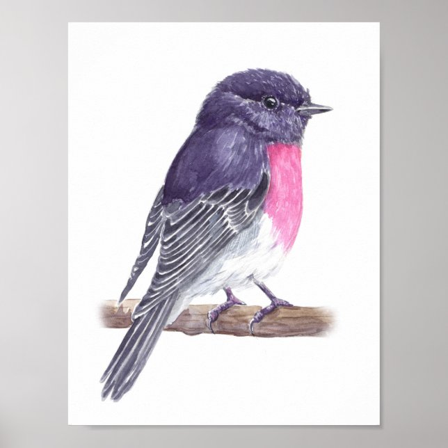 Póster 7.º burra (Frente)