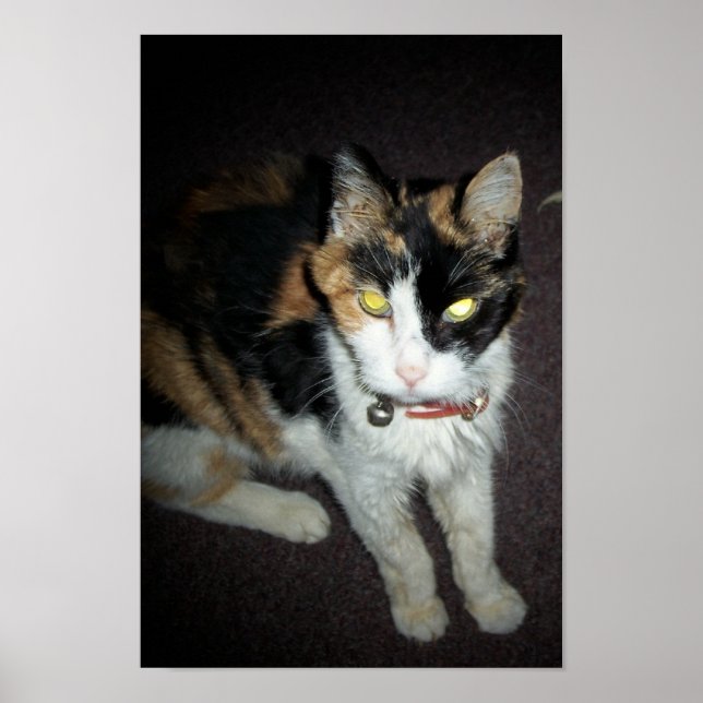 Póster 7.º camarilla (Frente)