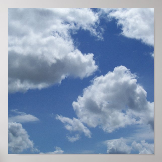 Póster 7.º oscilación (Frente)