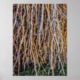 Póster 7 Impresión, papel Poster (semibrillante)