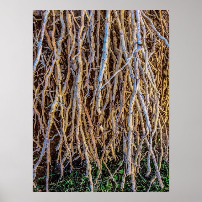 Póster 7 Impresión, papel Poster (semibrillante) (Frente)