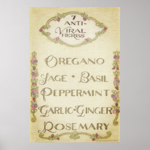 Póster 7 Poster de hierbas antivirales (cosecha)