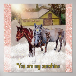 Póster 7 y Nokomis tú eres mi sol