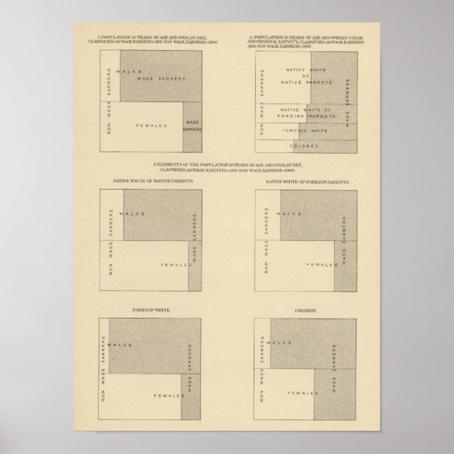 Póster 89 Wage earners, classified 1900 (Frente)