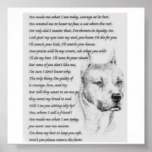 Póster 8.º poema (Frente)