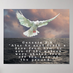 Póster 8:8 de la GÉNESIS