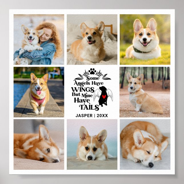 Póster 8 Collage de fotos Mascota Perdida de perro Recuen (Frente)