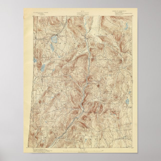 Póster 8 Hoja de Cornwall (Frente)