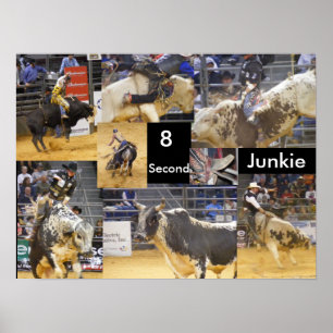 Póster 8 Segundo Junkie