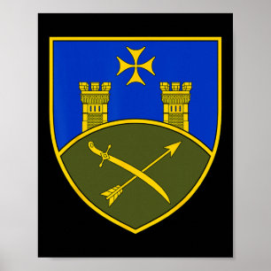Póster 9º Cuerpo del Ejército (Ucrania) Militar ucraniano