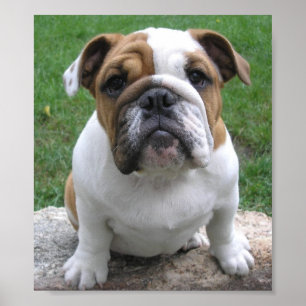 PÓSTER 9-17-05 003