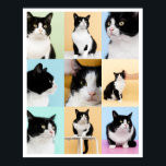 Póster 9 Foto Collage moderno Perro gato<br><div class="desc">Un moderno poster de collage de fotos personalizado 9 listo para que subas tus fotos favoritas de tu gato o perro. Hermoso marco o sin marco. Arte original ©Marisu Valencia</div>