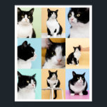 Póster 9 Foto Collage moderno Perro gato<br><div class="desc">Un moderno poster de collage de fotos personalizado 9 listo para que subas tus fotos favoritas de tu gato o perro. Hermoso marco o sin marco. Arte original ©Marisu Valencia</div>