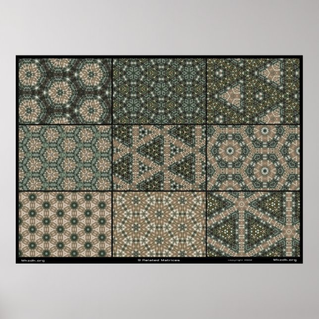 Póster 9 Matrices relacionadas (Frente)