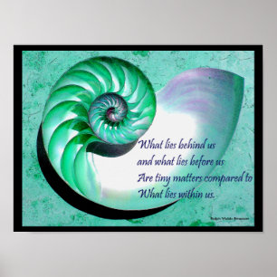 Póster A01 Nautilus Shell Poster con presupuesto Inspirad