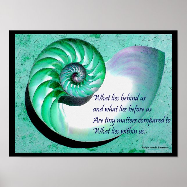 Póster A01 Nautilus Shell Poster con presupuesto Inspirad (Frente)