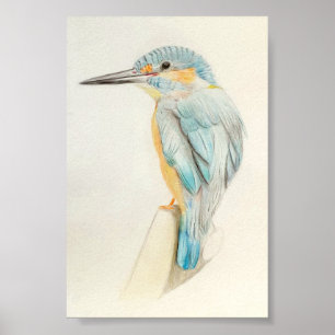 Póster A4 Hermoso dibujo de lápiz Kingfisher
